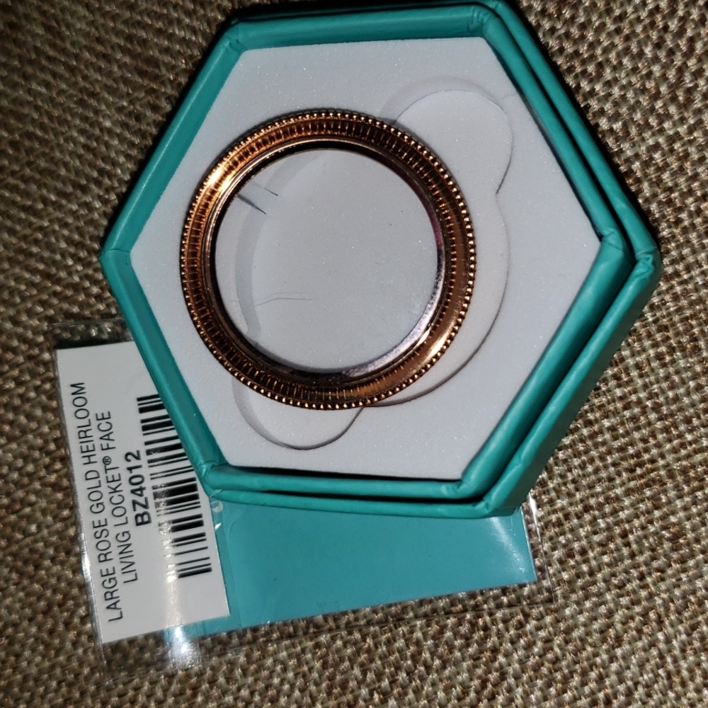 Origami Owl locket FACE